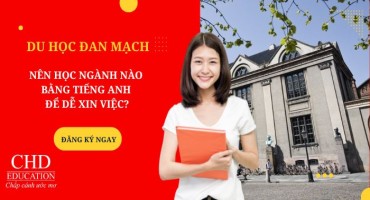 DU HỌC ĐAN MẠCH BẰNG TIẾNG ANH NÊN HỌC NGÀNH NÀO ĐỂ DỄ XIN VIỆC