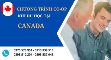 CHƯƠNG TRÌNH CO-OP KHI DU HỌC CANADA LÀ GÌ? TOÀN BỘ THÔNG TIN CẦN BIẾT