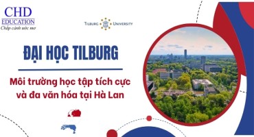 TỪ A ĐẾN Z VỀ ĐẠI HỌC TILBURG UNIVERSITY: ĐIỂM ĐẾN LÝ TƯỞNG CHO SINH VIÊN QUỐC TẾ