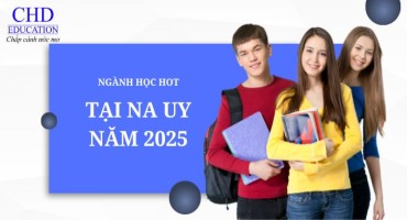 NGÀNH HỌC HOT TẠI NA UY NĂM 2025: CÔNG NGHỆ, THIẾT KẾ, KINH TẾ