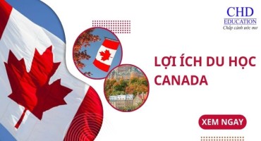 Lợi ích du học Canada: Vì sao ngày càng nhiều bạn trẻ chọn xứ sở lá phong?