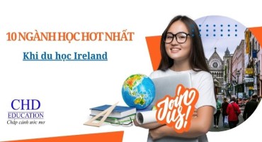 DU HỌC IRELAND NĂM 2025: TOP 10 NGÀNH HỌC HOT NHẤT KHÔNG THỂ BỎ QUA