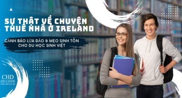 SỰ THẬT VỀ CHUYỆN THUÊ NHÀ Ở IRELAND - CẢNH BÁO LỪA ĐẢO & MẸO SINH TỒN CHO DU HỌC SINH VIỆT