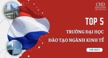 TOP 5 TRƯỜNG ĐẠI HỌC ĐÀO TẠO NGÀNH KINH TẾ Ở HÀ LAN: LỰA CHỌN TỐT NHẤT CHO DU HỌC SINH