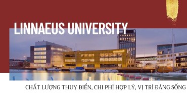 DU HỌC THUỴ ĐIỂN TẠI LINNAEUS UNIVERSITY: CHẤT LƯỢNG THUỴ ĐIỂN, CHI PHÍ HỢP LÝ, VỊ TRÍ ĐÁNG SỐNG