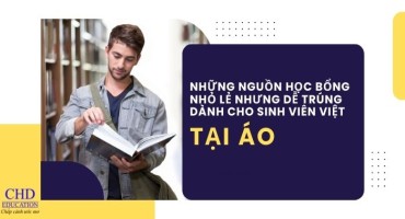NHỮNG NGUỒN HỌC BỔNG NHỎ LẺ NHƯNG DỄ TRÚNG DÀNH CHO SINH VIÊN VIỆT TẠI ÁO