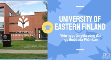 UNIVERSITY OF EASTERN FINLAND - VIÊN NGỌC ẨN GIỮA VÙNG ĐẤT HỌC THUẬT CỦA PHẦN LAN