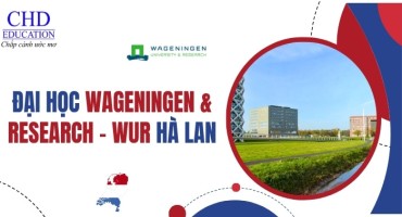 KHÁM PHÁ ĐẠI HỌC WAGENINGEN UNIVERSITY & RESEARCH (WUR), HÀ LAN: CÁNH CỬA TƯƠNG LAI BỀN VỮNG