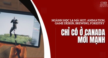 NGÀNH HỌC LẠ MÀ HOT: ANIMATION, GAME DESIGN, BREWING, FORESTRY - CHỈ CÓ Ở CANADA MỚI MẠNH