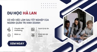 DU HỌC HÀ LAN: CƠ HỘI VIỆC LÀM SAU TỐT NGHIỆP CỦA NGÀNH QUẢN TRỊ KINH DOANH