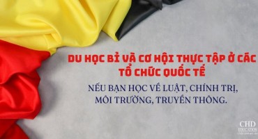 DU HỌC BỈ VÀ CƠ HỘI THỰC TẬP Ở CÁC TỔ CHỨC QUỐC TẾ - NẾU BẠN HỌC VỀ LUẬT, CHÍNH TRỊ, MÔI TRƯỜNG, TRUYỀN THÔNG.