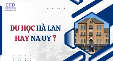 DU HỌC HÀ LAN HAY NA UY? SO SÁNH TOÀN DIỆN ĐỂ CHỌN ĐÚNG ĐIỂM ĐẾN CHÂU ÂU CHO BẠN