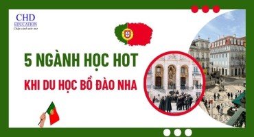 TOP 5 NGÀNH HỌC HOT NHẤT KHI DU HỌC BỒ ĐÀO NHA NĂM 2025