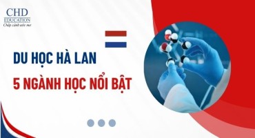 5 NGÀNH HỌC NỔI BẬT NHẤT KHI DU HỌC HÀ LAN 2025