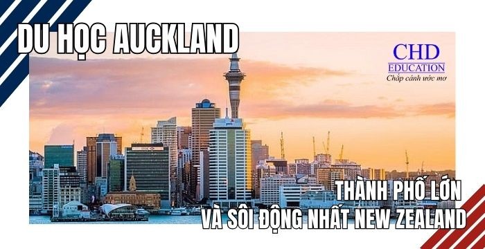 Du học Auckland – Thành phố lớn nhất và sôi động nhất New Zealand