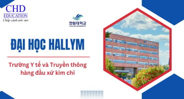 ĐẠI HỌC HALLYM HÀN QUỐC: HÀNH TRÌNH KHÁM PHÁ NGÔI TRƯỜNG Y TẾ & TRUYỀN THÔNG HÀNG ĐẦU XỨ KIM CHI