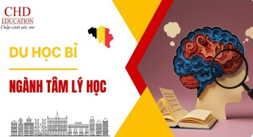 DU HỌC BỈ NGÀNH TÂM LÝ HỌC: CƠ HỘI NGHỀ NGHIỆP VÀ TRẢI NGHIỆM HỌC TẬP QUỐC TẾ