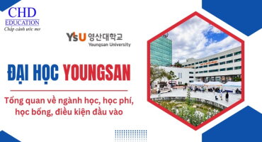 ĐẠI HỌC YOUNGSAN HÀN QUỐC – CƠ HỘI DU HỌC ĐÁNG GIÁ CHO SINH VIÊN QUỐC TẾ