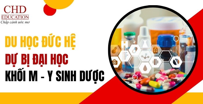 DU HỌC ĐỨC HỆ DỰ BỊ ĐẠI HỌC KHỐI M (Y – SINH – DƯỢC): LỘ TRÌNH CHI TIẾT TỪ A–Z