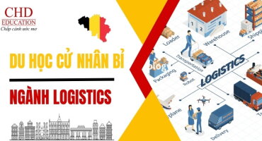 DU HỌC CỬ NHÂN NGÀNH LOGISTICS TẠI BỈ: LỰA CHỌN CHIẾN LƯỢC CHO SỰ NGHIỆP TOÀN CẦU