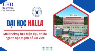 ĐẠI HỌC HALLA HÀN QUỐC – TỔNG QUAN, ĐIỀU KIỆN, HỌC PHÍ, CHƯƠNG TRÌNH HỌC NỔI BẬT