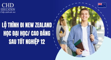 LỘ TRÌNH ĐI NEW ZEALAND HỌC ĐẠI HỌC HOẶC CAO ĐẲNG CHO HỌC SINH TỐT NGHIỆP LỚP 12