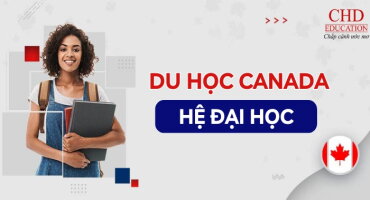 DU HỌC CANADA BẬC ĐẠI HỌC: ĐIỀU KIỆN, CHI PHÍ, NGÀNH HỌC & LỘ TRÌNH CHI TIẾT 2026