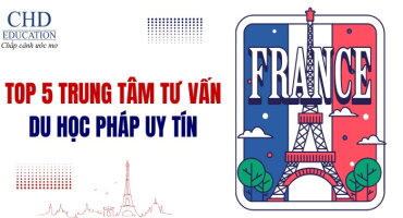 TOP 5 TRUNG TÂM TƯ VẤN DU HỌC PHÁP UY TÍN NHẤT TẠI HÀ NỘI NĂM 2026