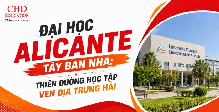 ĐẠI HỌC ALICANTE TÂY BAN NHA: THIÊN ĐƯỜNG HỌC TẬP VEN ĐỊA TRUNG HẢI VỚI CHẤT LƯỢNG GIÁO DỤC HÀNG ĐẦU