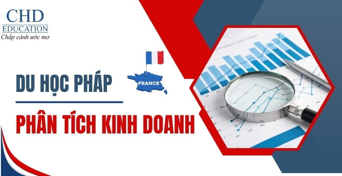 DU HỌC PHÁP NGÀNH PHÂN TÍCH KINH DOANH: ĐIỀU KIỆN, CHƯƠNG TRÌNH HỌC, TRƯỜNG ĐÀO TẠO VÀ CƠ HỘI NGHỀ NGHIỆP