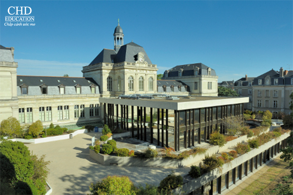 CIDEF - Đại học công giáo Tây Pháp