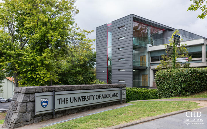 Top 5 trường đại học HOT tại New Zealand