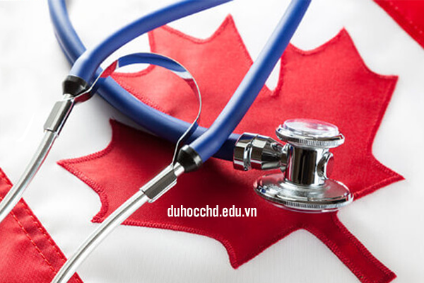 Du học ngành Y Dược tại Canada 