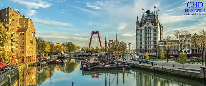 Rotterdam - “Cảng hàng hải bận rộn nhất thế giới” - có nên du học hà lan bằng tiếng anh không