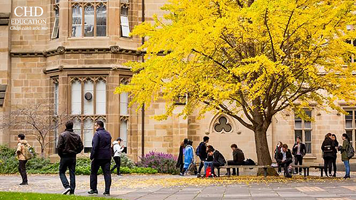 Đến úc dễ dàng hơn nhờ chương trình pathway - Hình ảnh sinh viên tại một trường đại học tại Úc