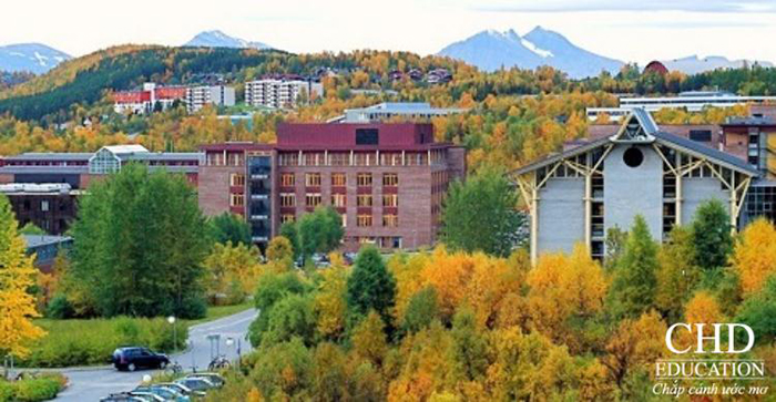 Đại học Tromsø – Đại học Cực bắc Nauy (UiT)