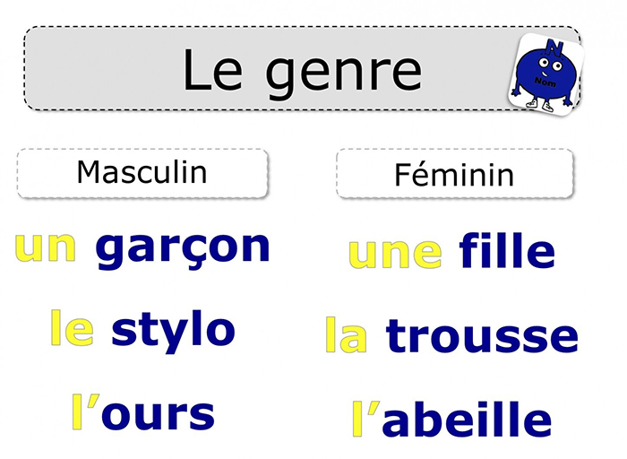 Phân biệt giống của danh từ, nỗi lo sợ của người học tiếng Pháp
