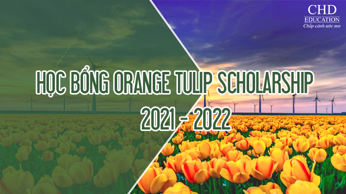 học bổng orange tulip scholarship Hà Lan 2021 - 2022