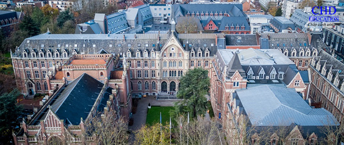  Université Catholique de Lille