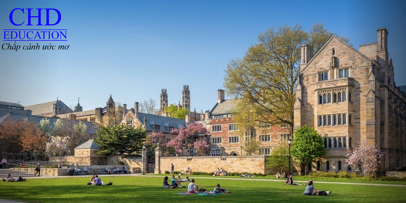 Yale University, Top 10 trường đại học tại Mỹ