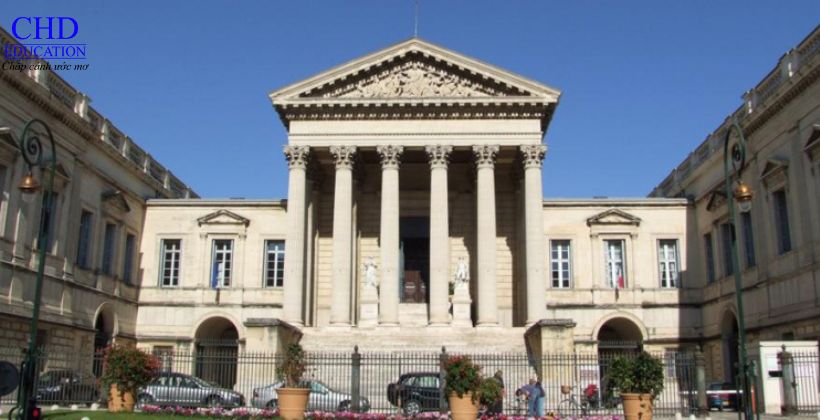 học ngành y tại Đại học Montpellier pháp
