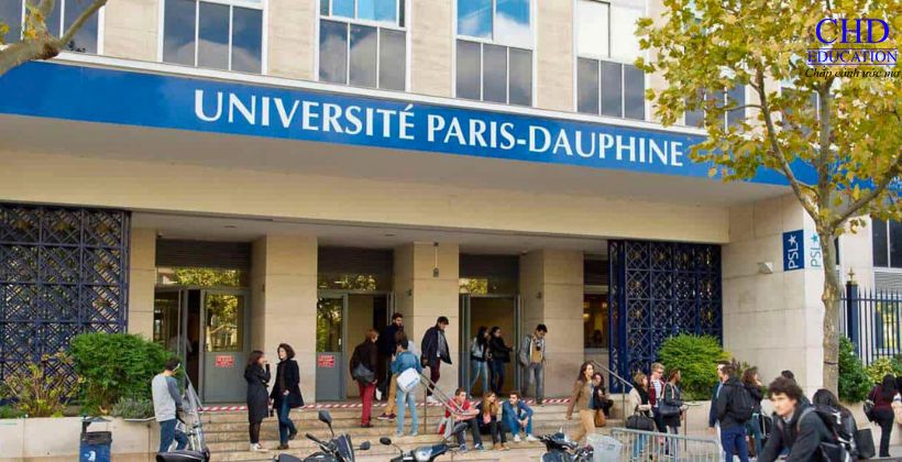 học thạc sĩ marketing tại Đại học Paris Dauphine pháp