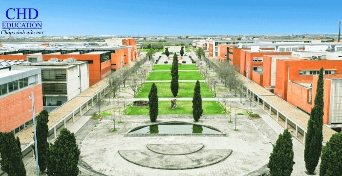 Đại học Aveiro - University of Aveiro