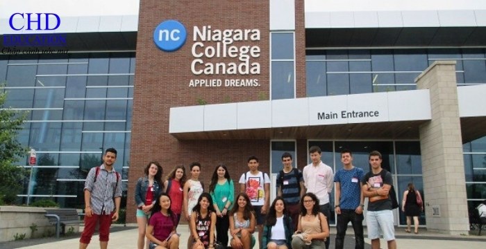 sinh viên tại trường cao đẳng niagara college canada