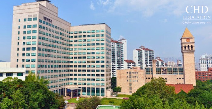 Trường Đại học Sejong University Hàn Quốc