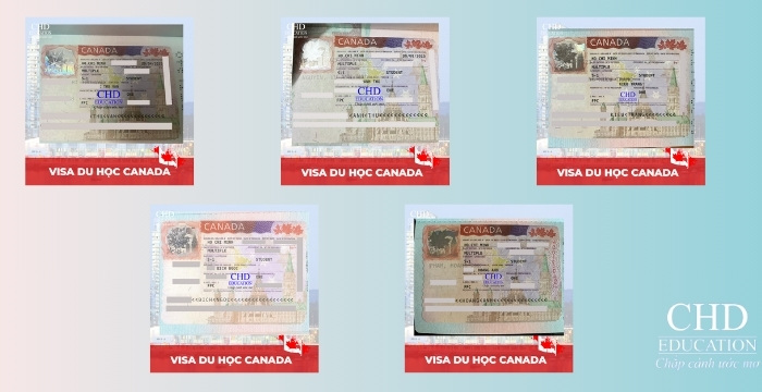 Những chiếc visa du học canada của các bạn làm hồ sơ tại CHD Education
