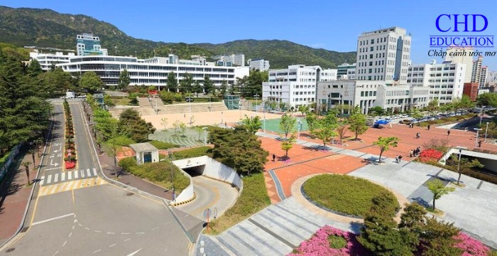 Đại học quốc gia Pusan tại Hàn Quốc