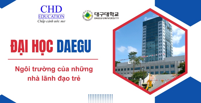 trường đại học daegu hàn quốc