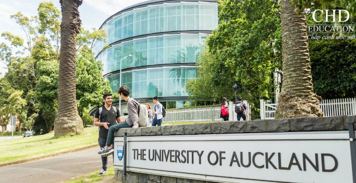 đại học Auckland - trường công lập danh tiếng tại New Zealand