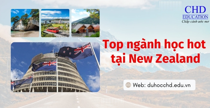 những ngành học hot bạn nên lựa chọn khi du học new zealand